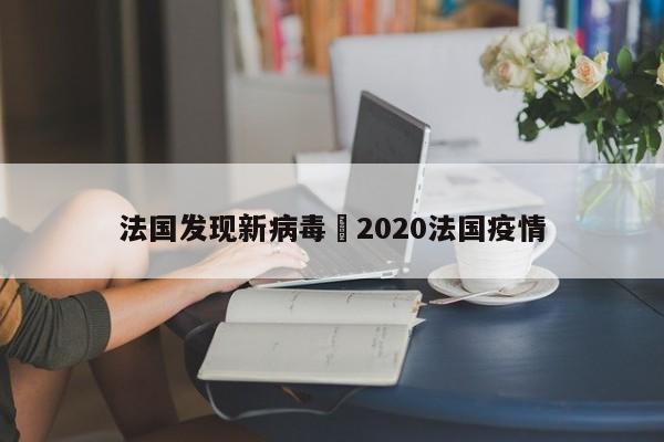 法国发现新病毒›2020法国疫情