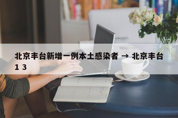 北京丰台新增一例本土感染者 → 北京丰台1 3