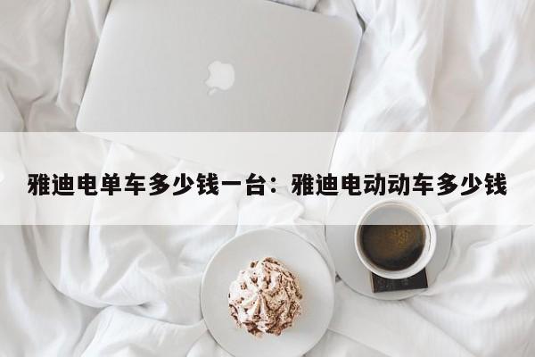 雅迪电单车多少钱一台:雅迪电动动车多少钱