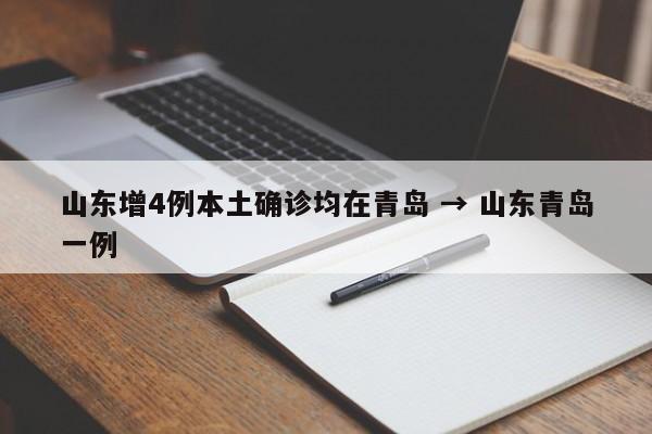 山东增4例本土确诊均在青岛 → 山东青岛一例