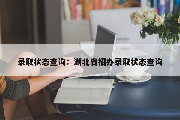 录取状态查询：湖北省招办录取状态查询